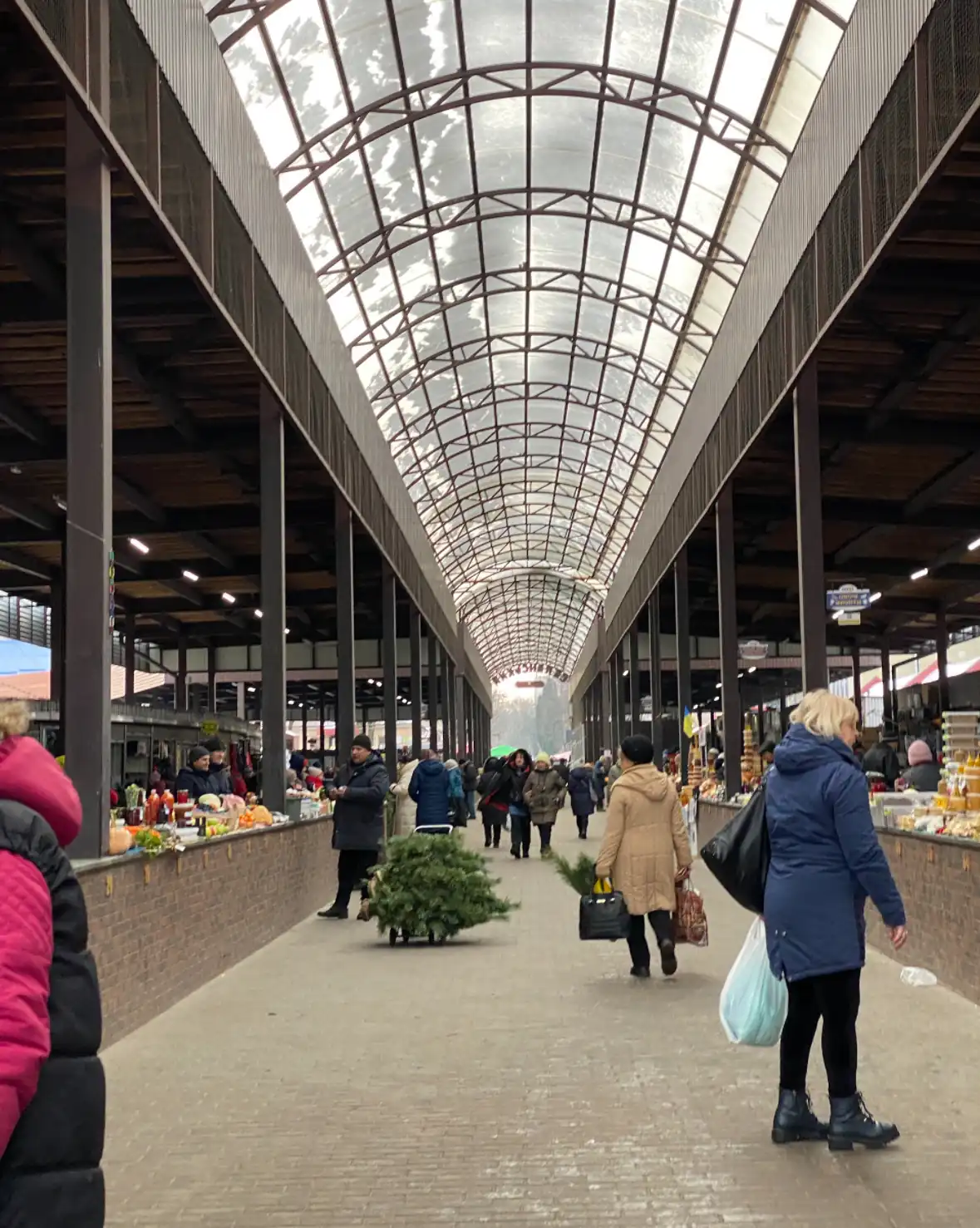 rynochok, de polina huliaiie