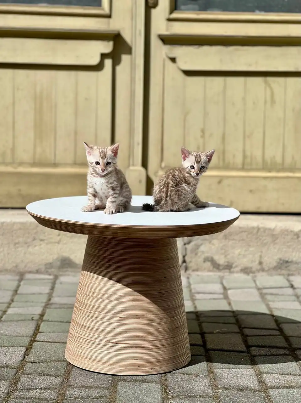 Стіл Чемпігнон тейбл і коти