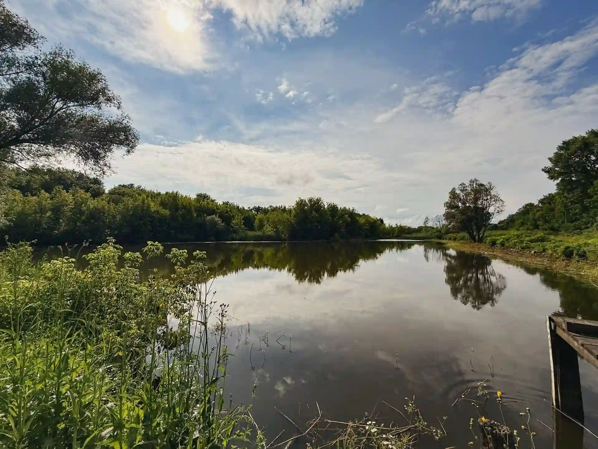 Вода в заповіднику Михайлівська цілина