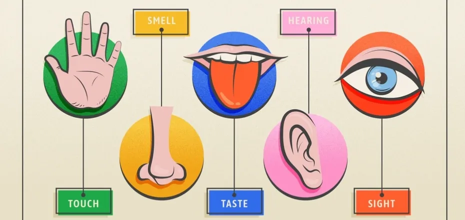 Інструкція для сум'ян, як впоратися із тривогою під час вибухів