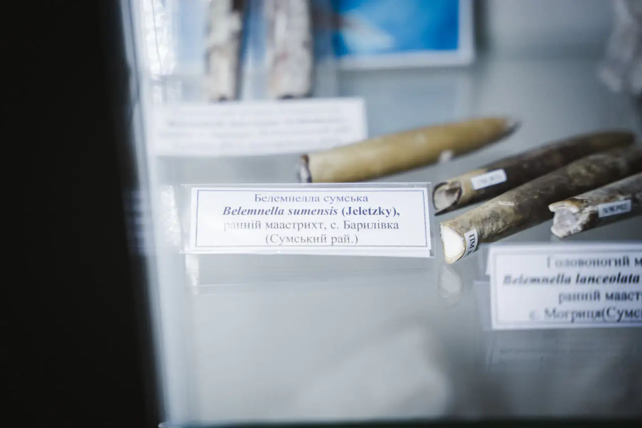 belemnela sumska Белемнела Сумська в ЦЕНТУМ СМР