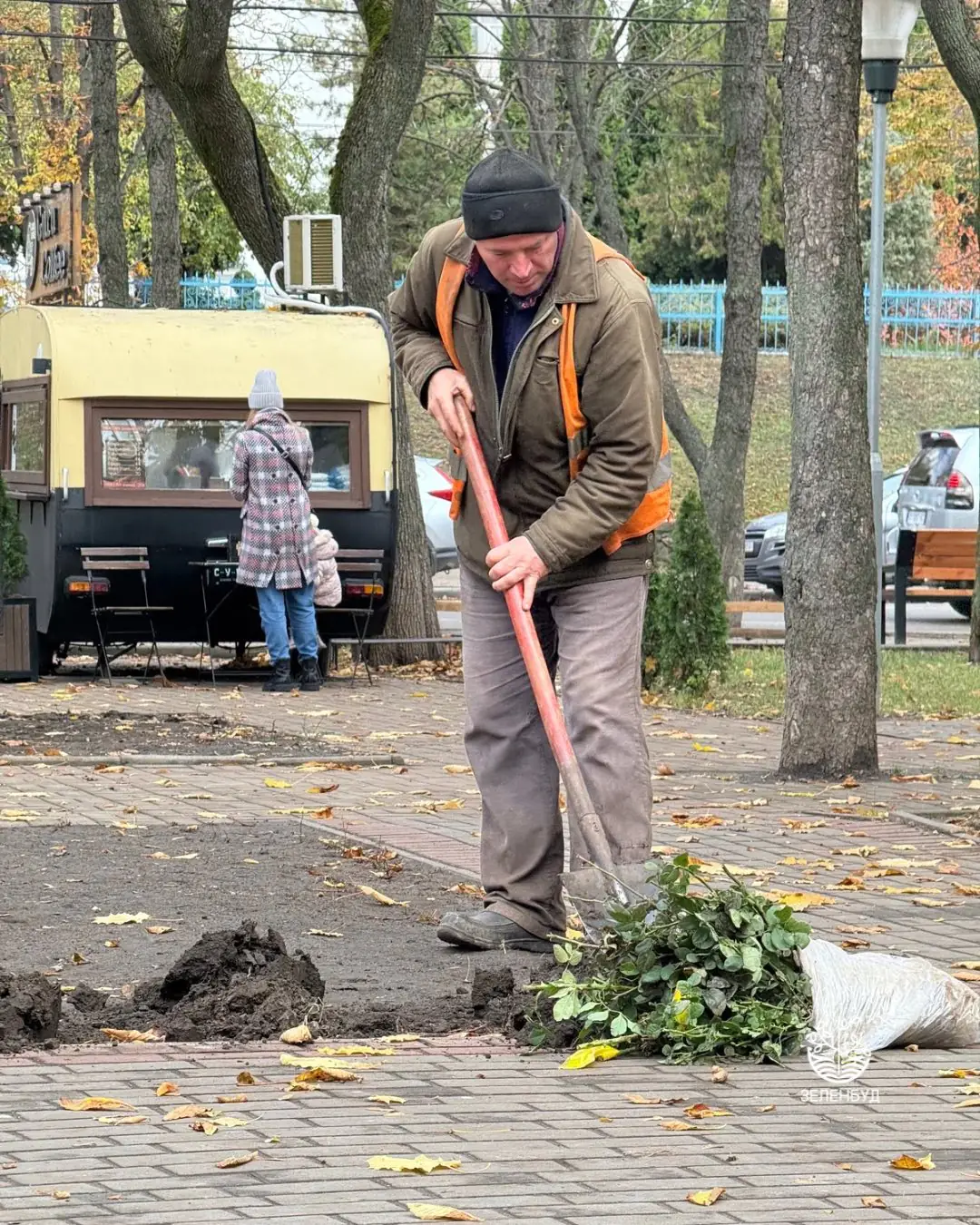 Чоловік висаджує троянди в Сумах