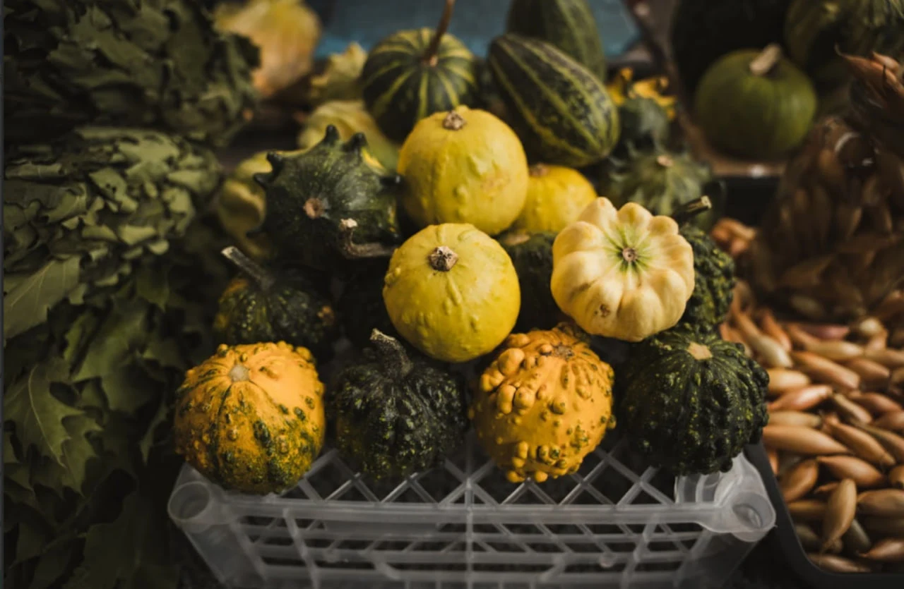 На Сумщині вирощують гарбузи різних форм і кольорів.