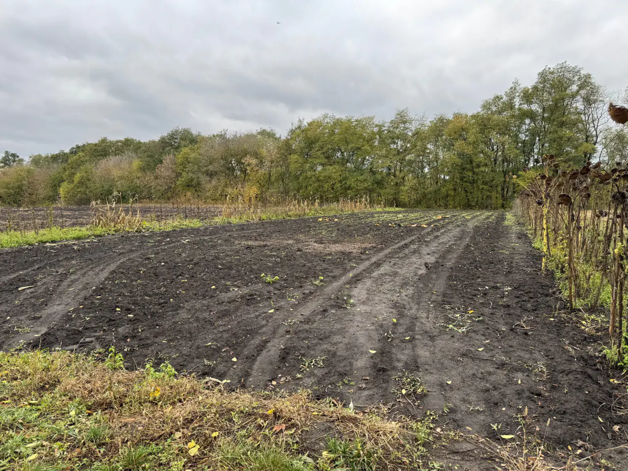 gorod kapitanivka Город Володимира Шпильки на Сумщині