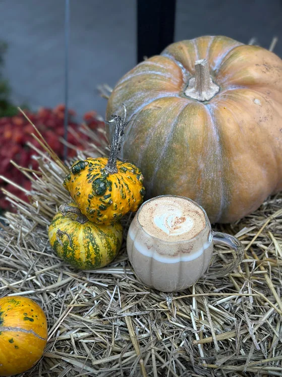 harbuzy v susidakh У кав'ярні «Сусіди» гарбузи доповнюють смак кави й прикрашають простір.