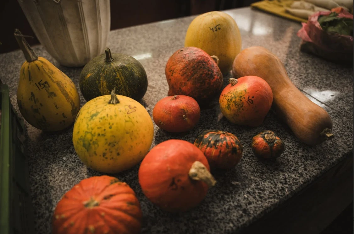 Гарбузики, які можна готувати чи використовувати як прикраси.