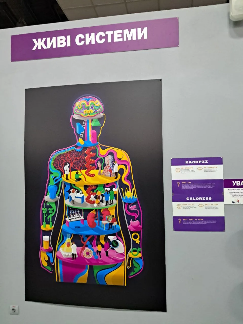 У музеї науки в Києві показують, як працює організм людини