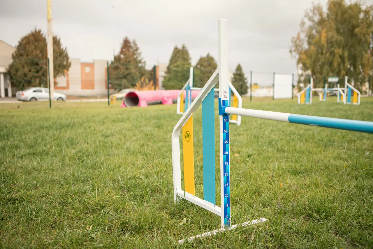інвентар аджиліті на майданчику в Сумахї