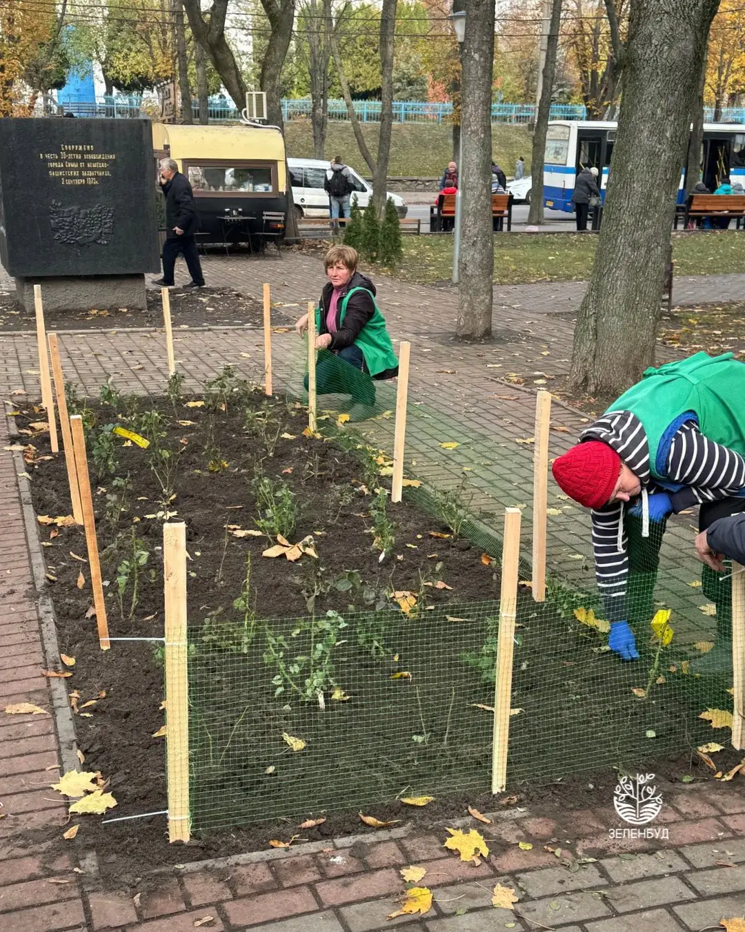 Клумба з трояндами в Сумах