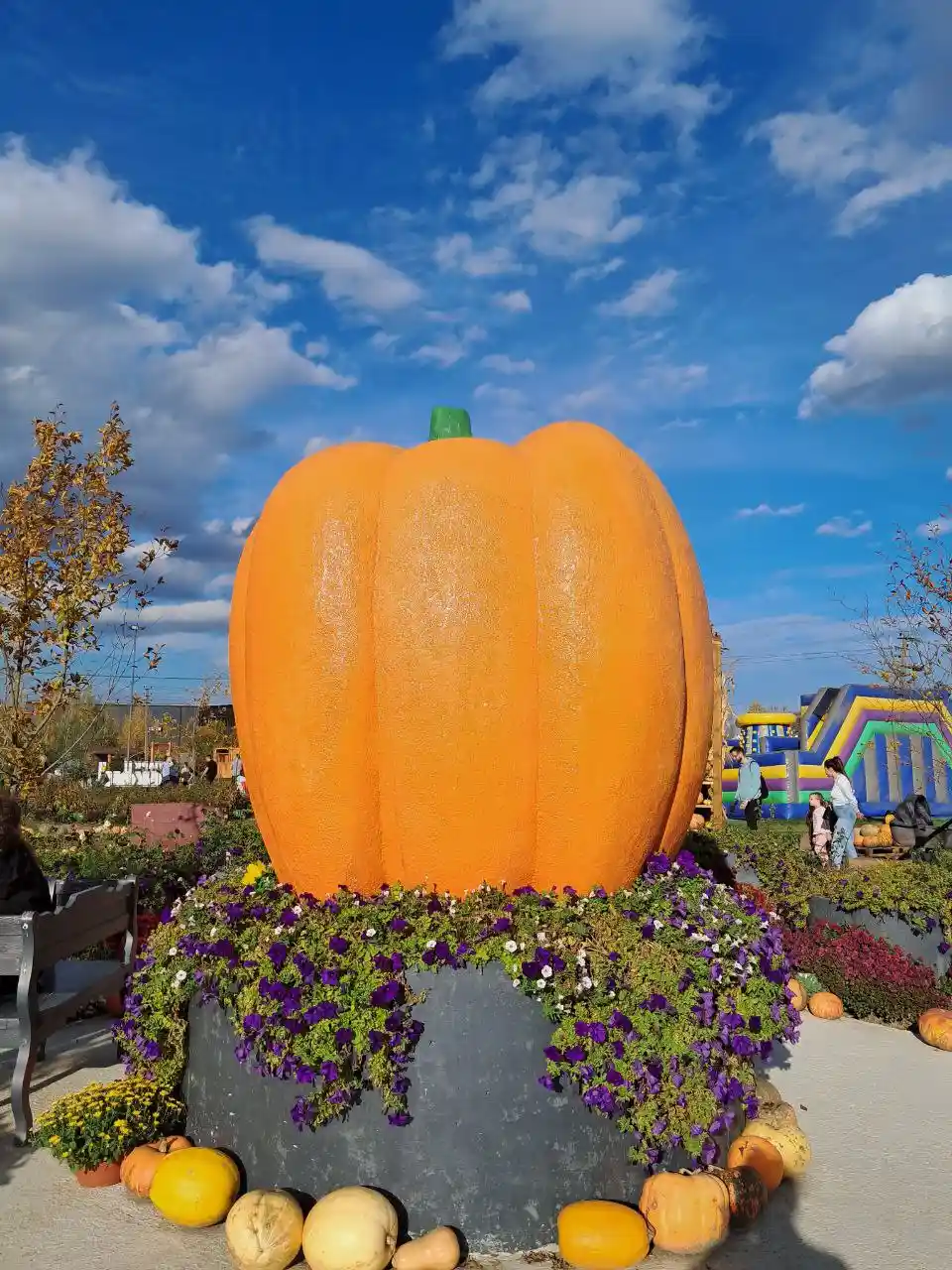 Квітковий парк у селі Чернівецької області