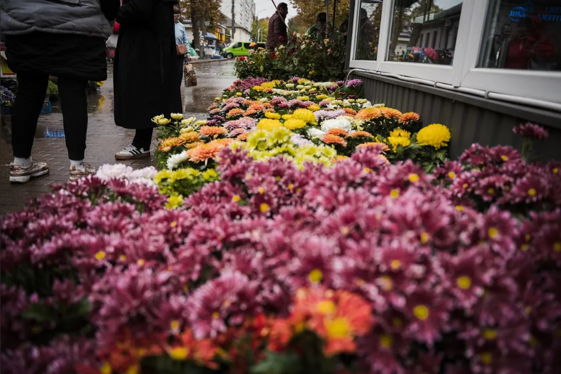 Тетяна розставила горщики з квітами в ряд — тепер вони схожі на поле.