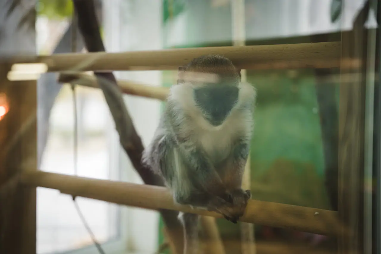 masha mavpa Машенька в ЦЕНТУМ СМР