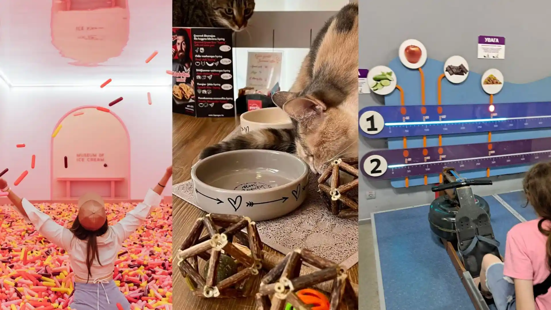 nezvychni idei biznesiv