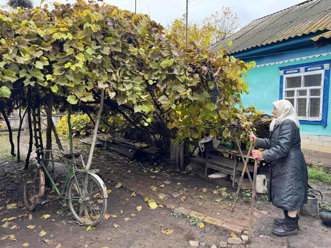 podviriya niny подвір'я Ніни Бражник на Сумщині