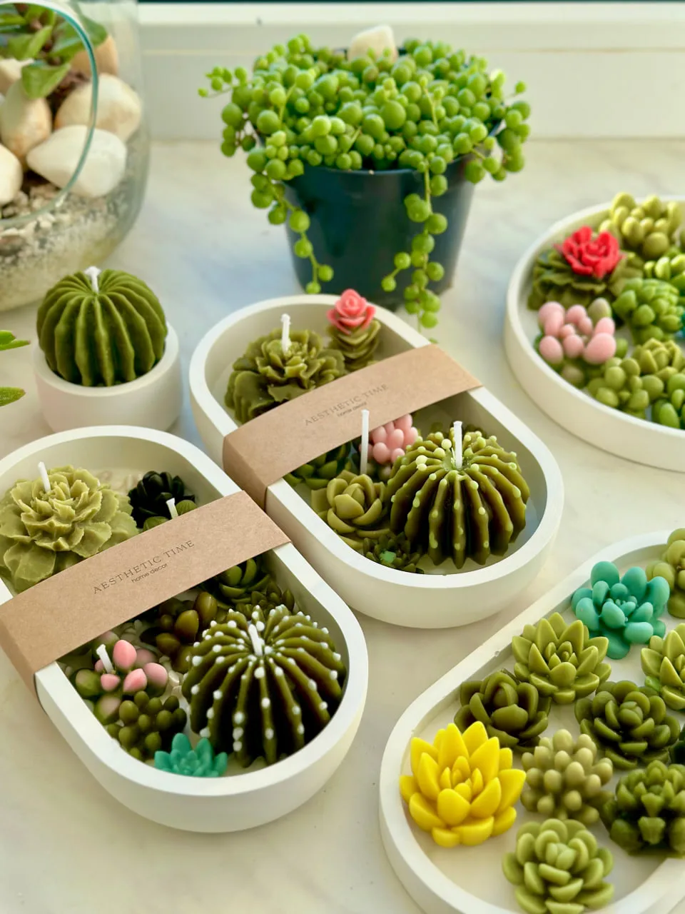 svichky vid sumskoho brendu 1 Сумська підприємиці створює свічки у формі кактусів, які схожі на квітковий горщик