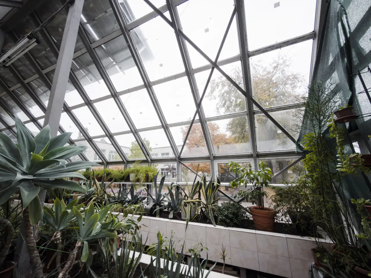 teplica всередині теплиці ЦЕНТУМ СМР