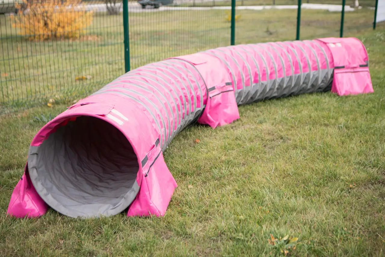 труба для собак біля СНАУ