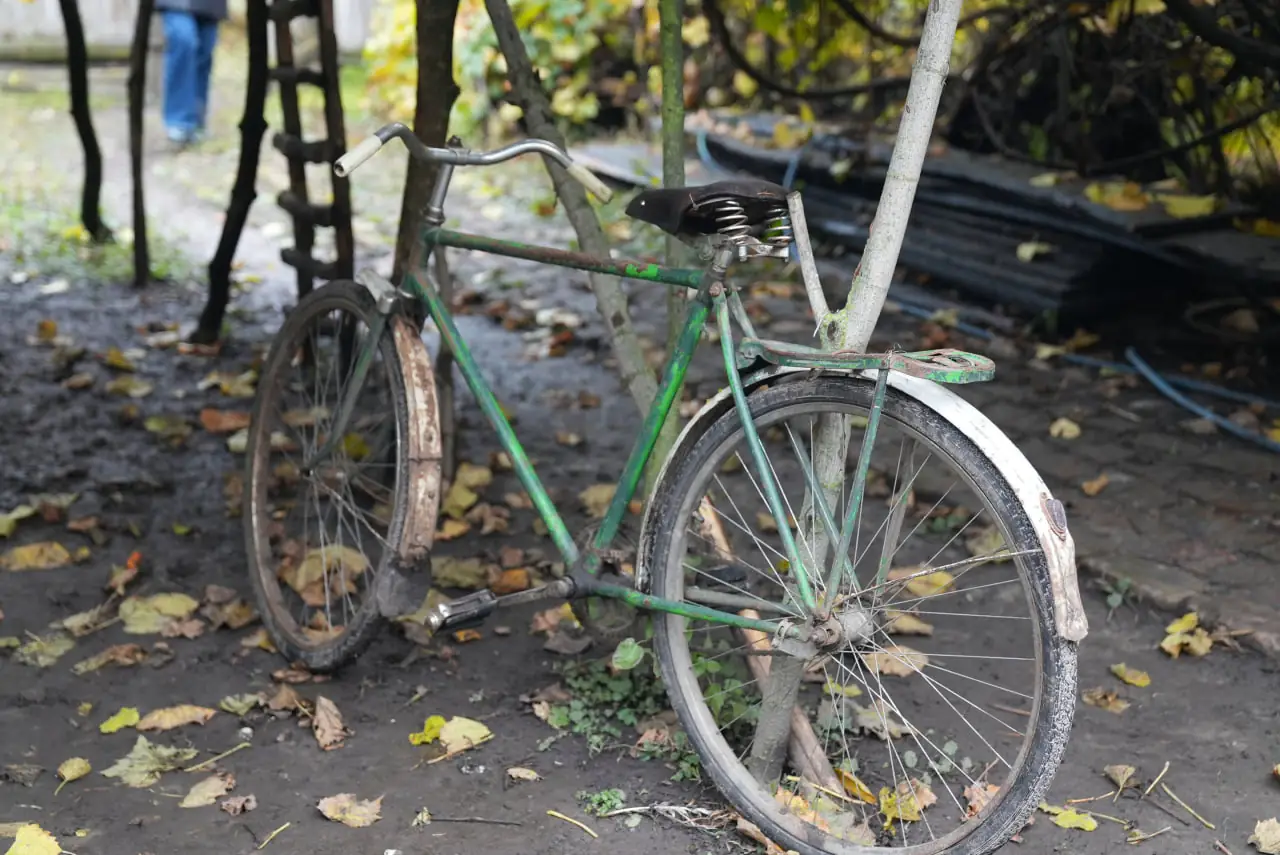 velosiped велосипед Ніни Бражник з Сумщини