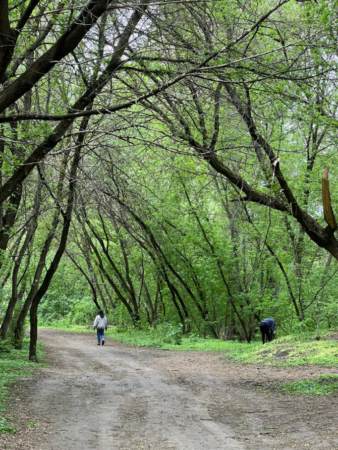 7 прибирання фото Цукр (1)