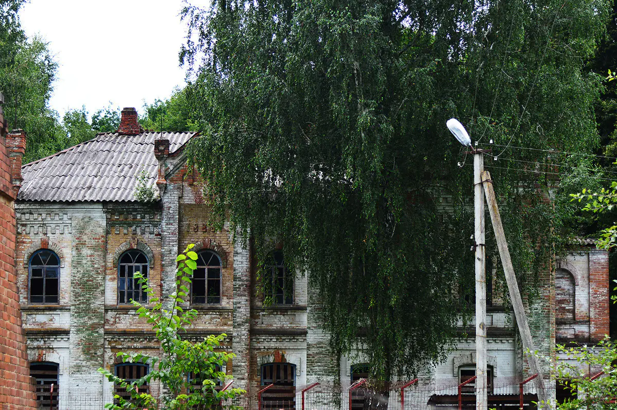 chastyna sadyby khrushchovykh u lebedynsʹkomu rayonі