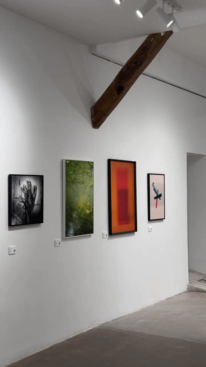 Фото сум'янки на виставці в Парижі 