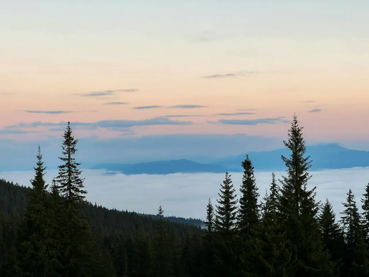 карпати туман