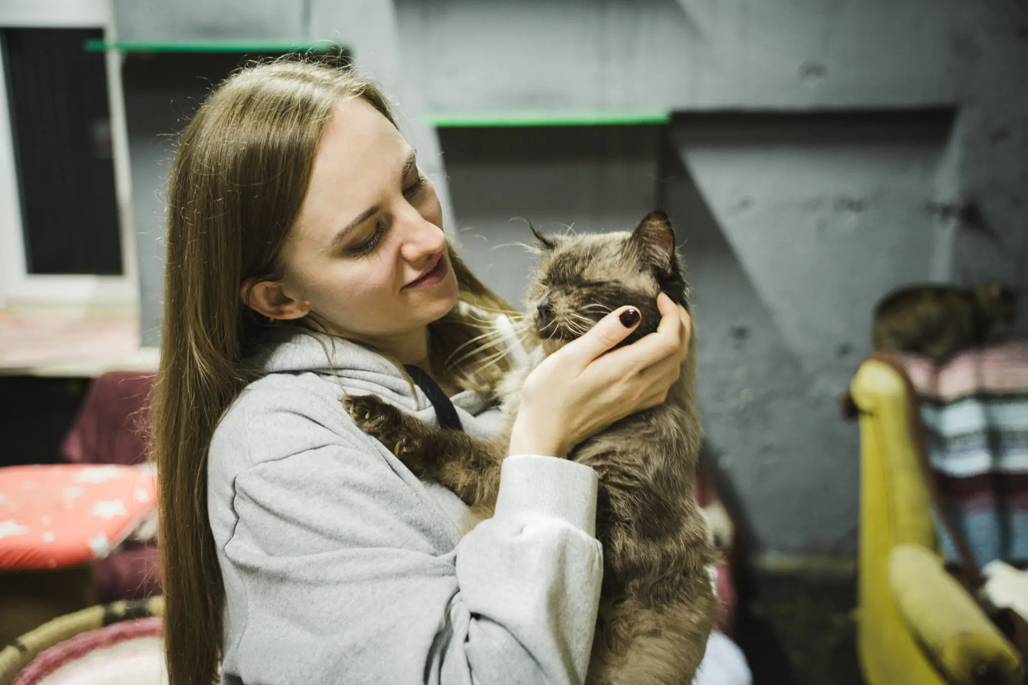marianna z kotykom Волонтерка Маріанна тримає котика на руках і з любов'ю дивиться на маленького.
