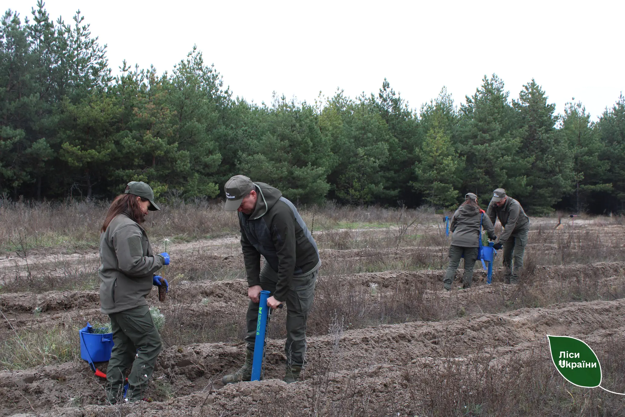 На Сумщині висаджують ліс пам'яті