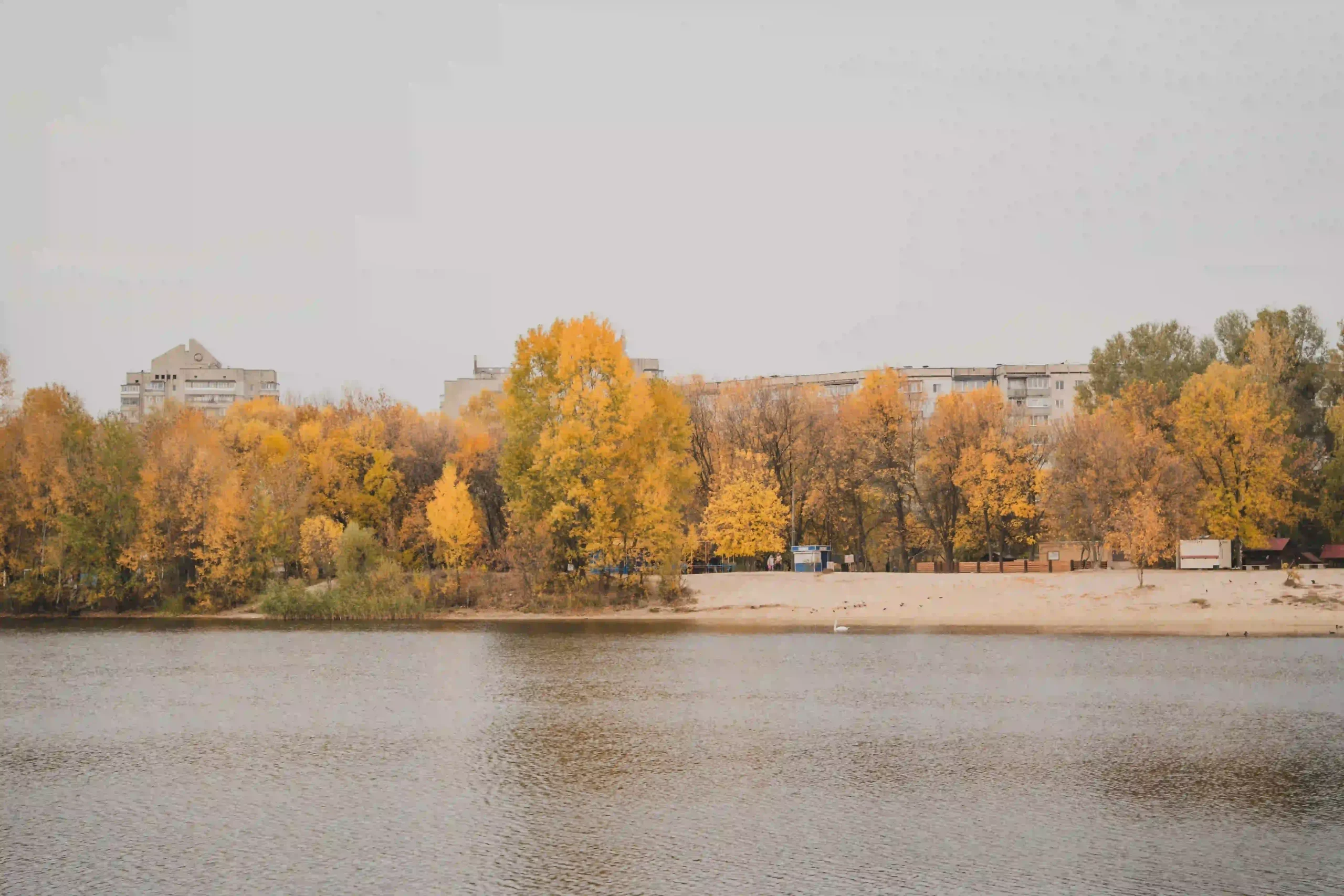 Пожовклі дерева оточують озеро Чеха восени. 