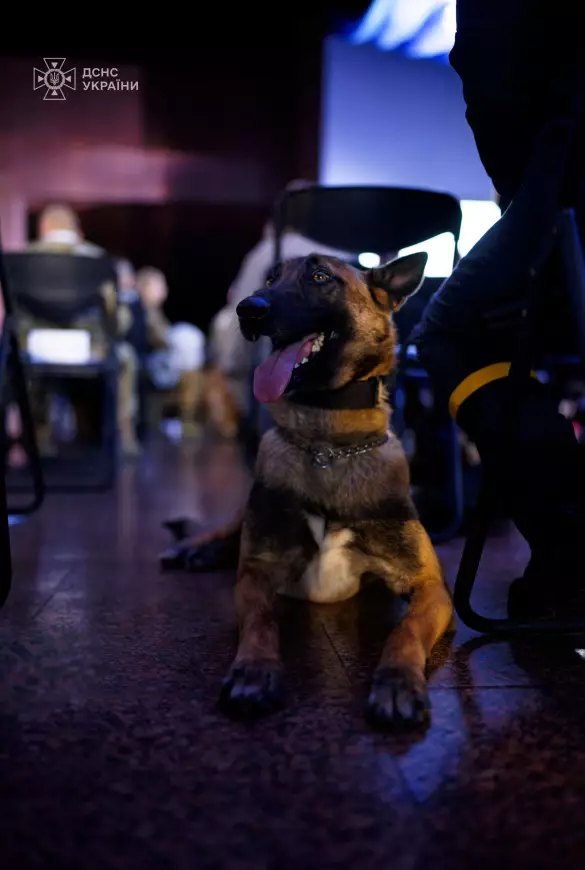 pes alf іz sum pes alf іz sum