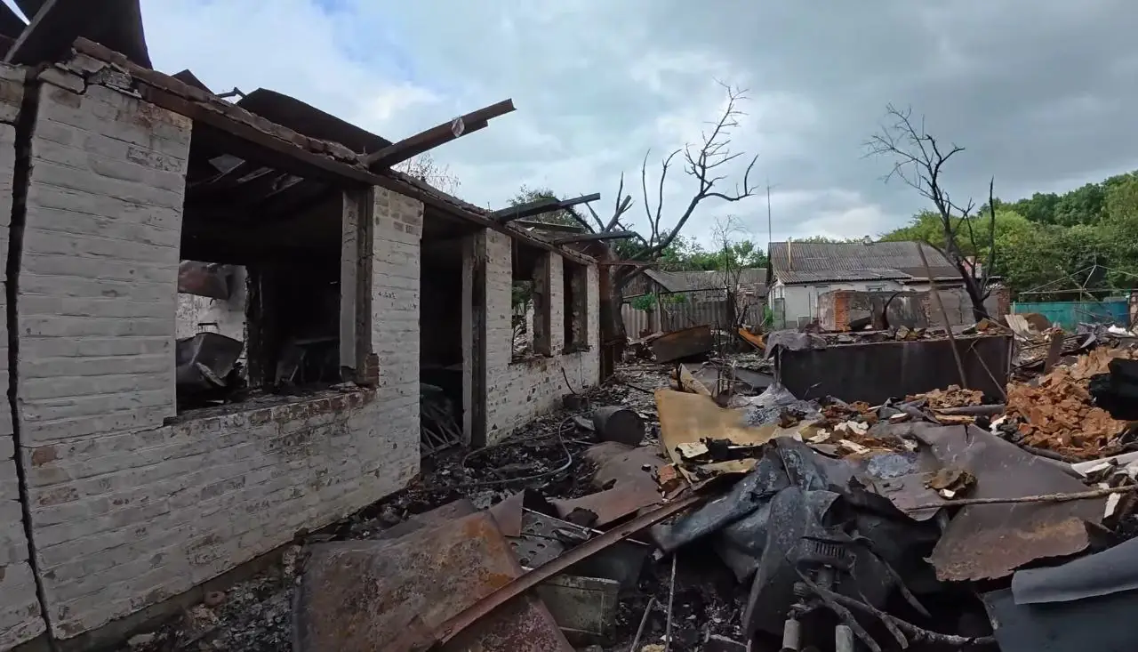 photo 2025 11 26 12 53 29 ruinuvannia