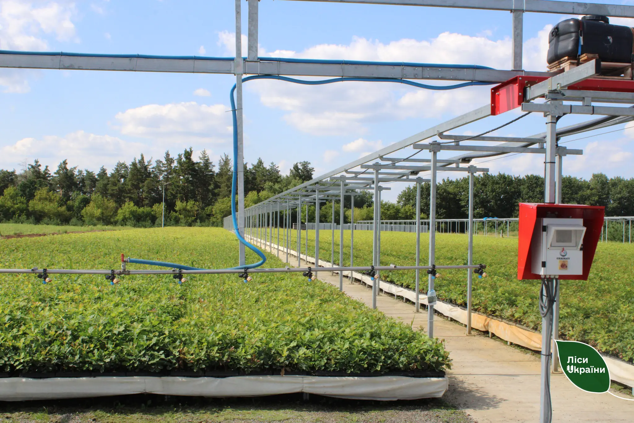 Сумський лісонасіннєвий завод