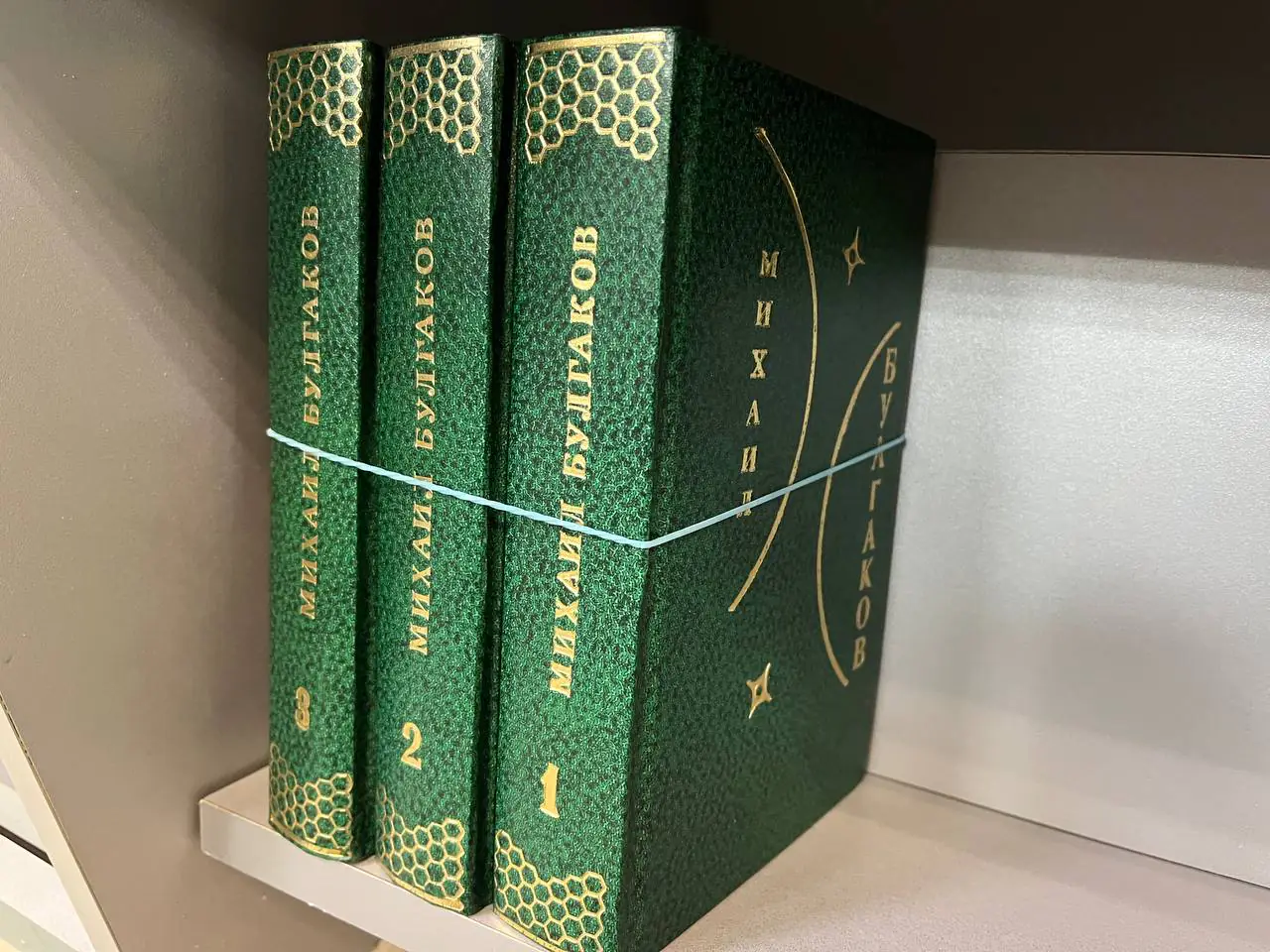 try tomy mykhayla bulhakova