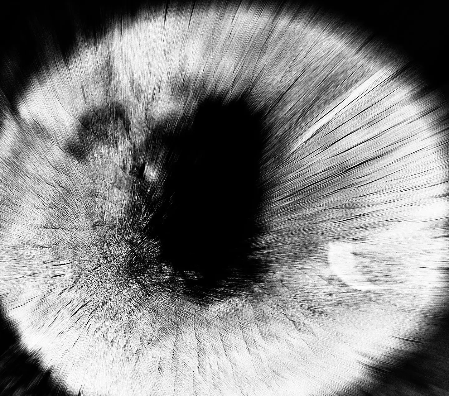 Стовбур дерева, що нагадує око