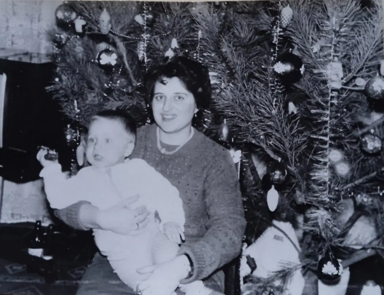 Сум'янка святкує Різдво вдома в Сумах