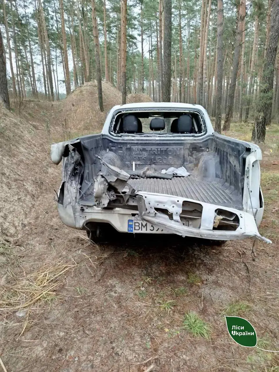 авто лісництва