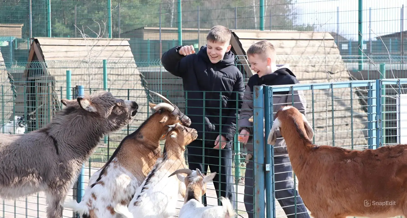 Діти із Сумщини на відпочинку