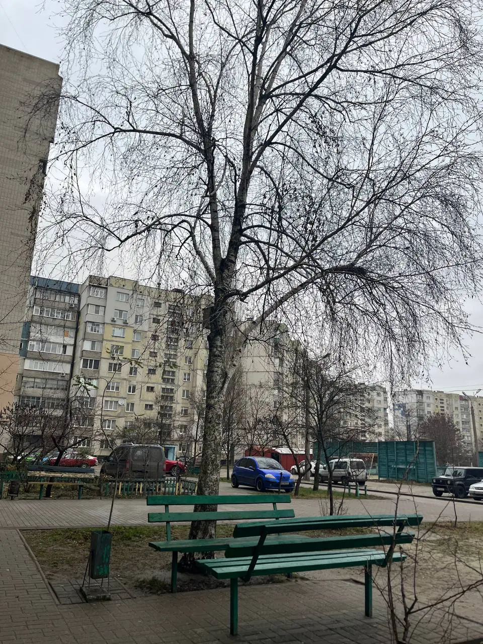 dvir na vulitsi zaluvna Двір багатоквартирного будинку, де трапилася перестрілка