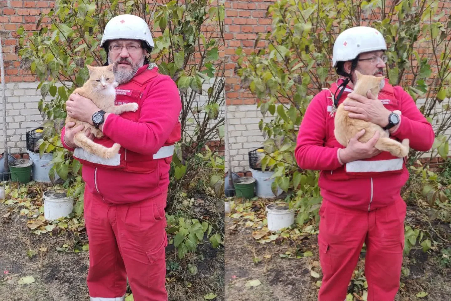 Евакуація з тваринами Сумщина