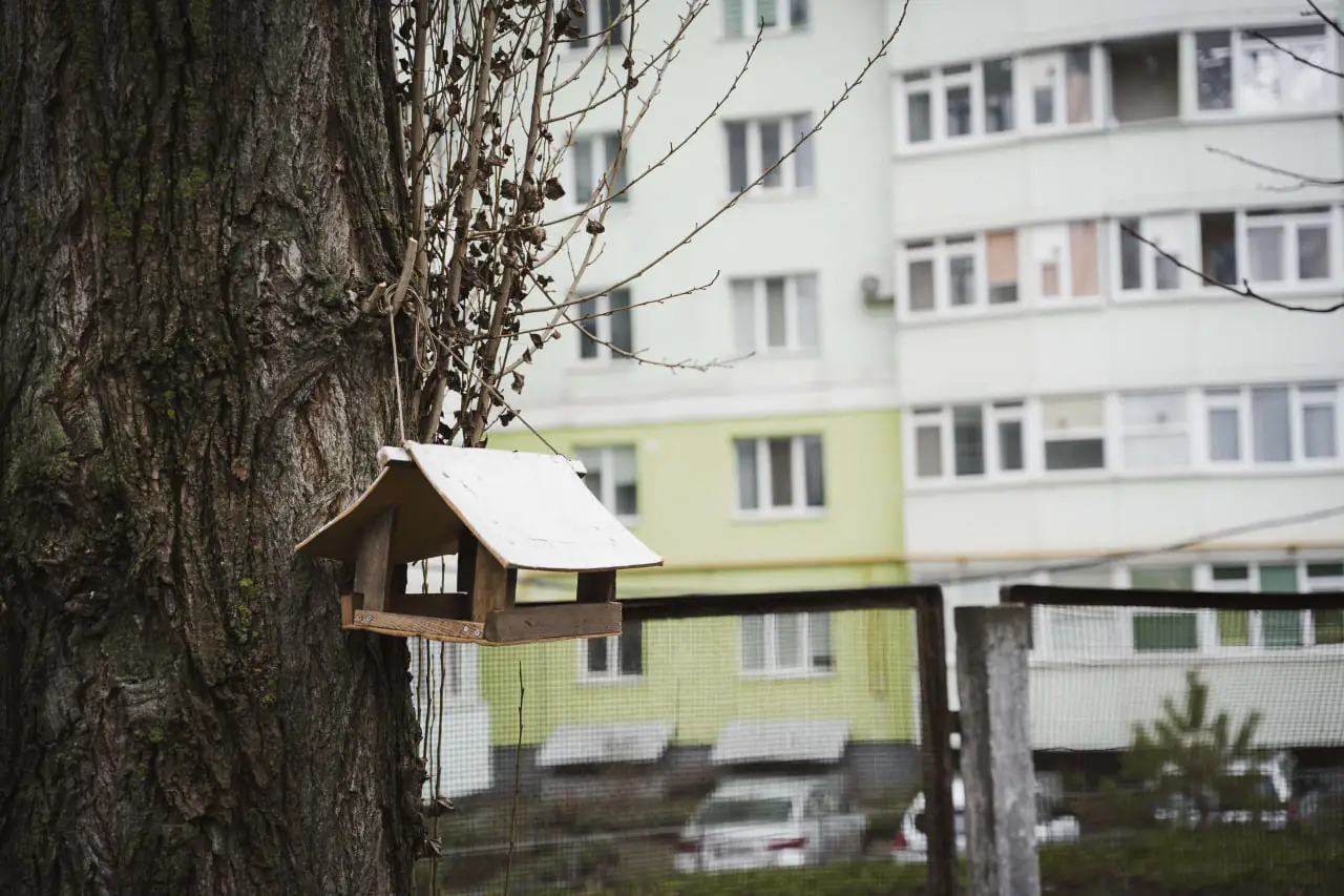 godivnichka centum дерев'яна годівничка
