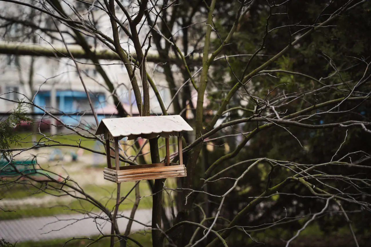 godivnichka z dereva годівничка