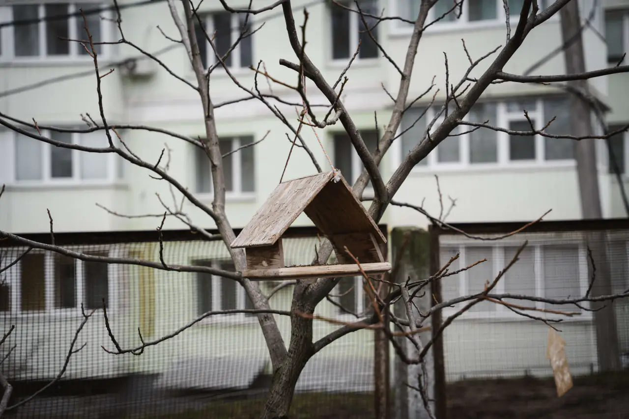 godivnichka годівчника з дерева