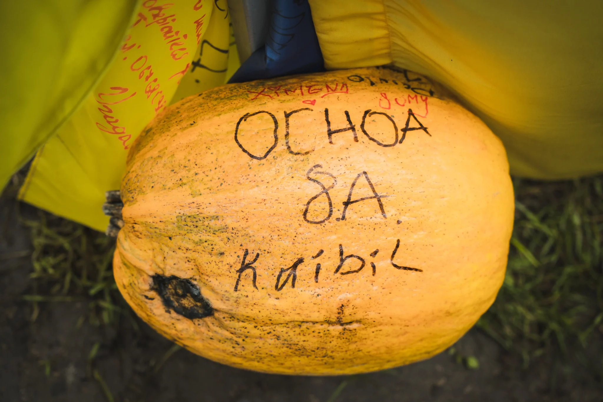 Між двох прапорів примостився гарбузик, підписаний військовими.