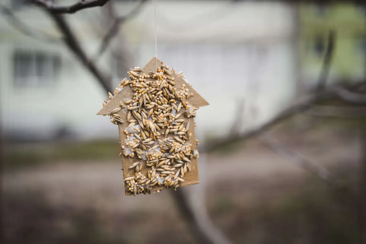 igrashka na derevi іграшка на дереві