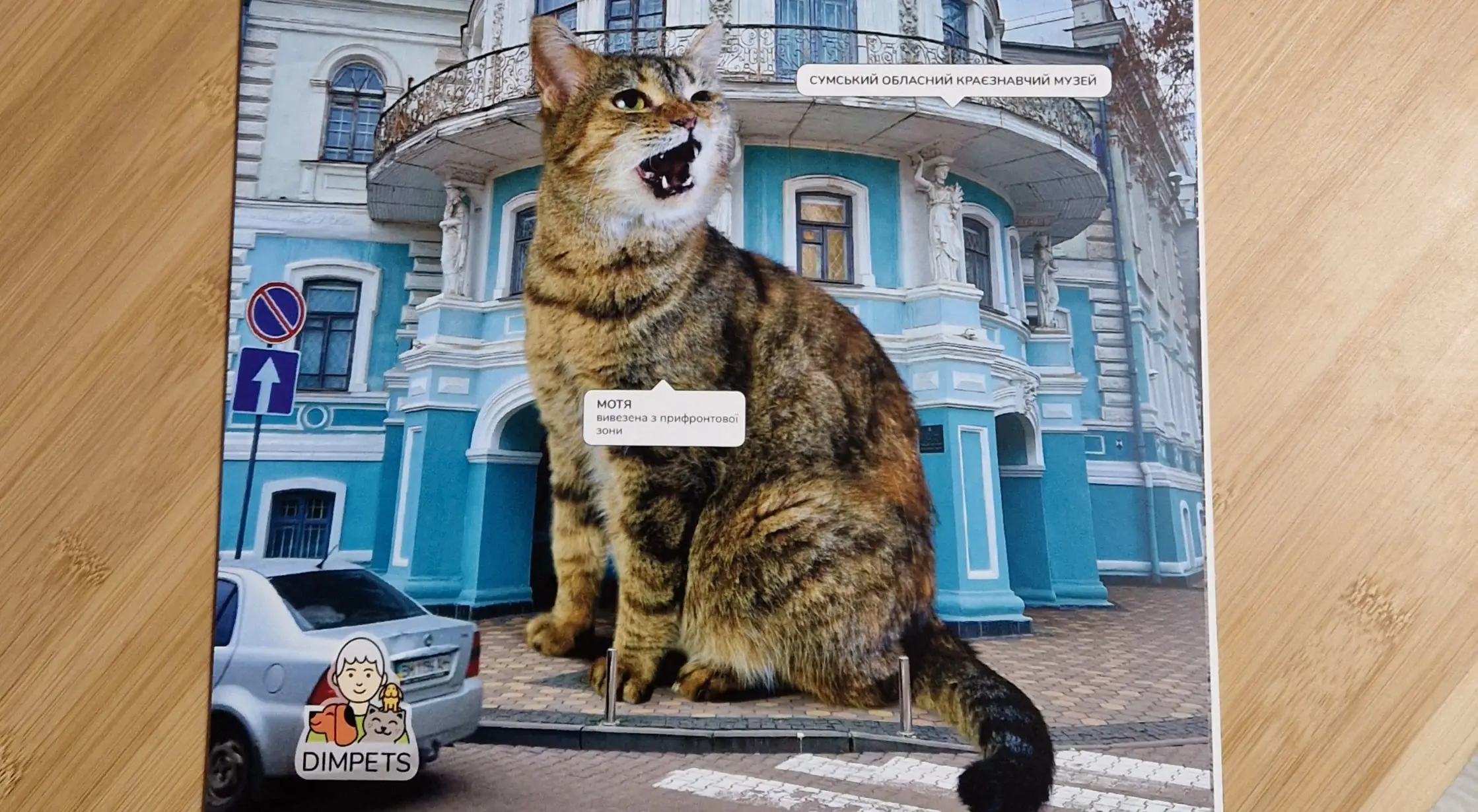 Календар з котами в Сумах