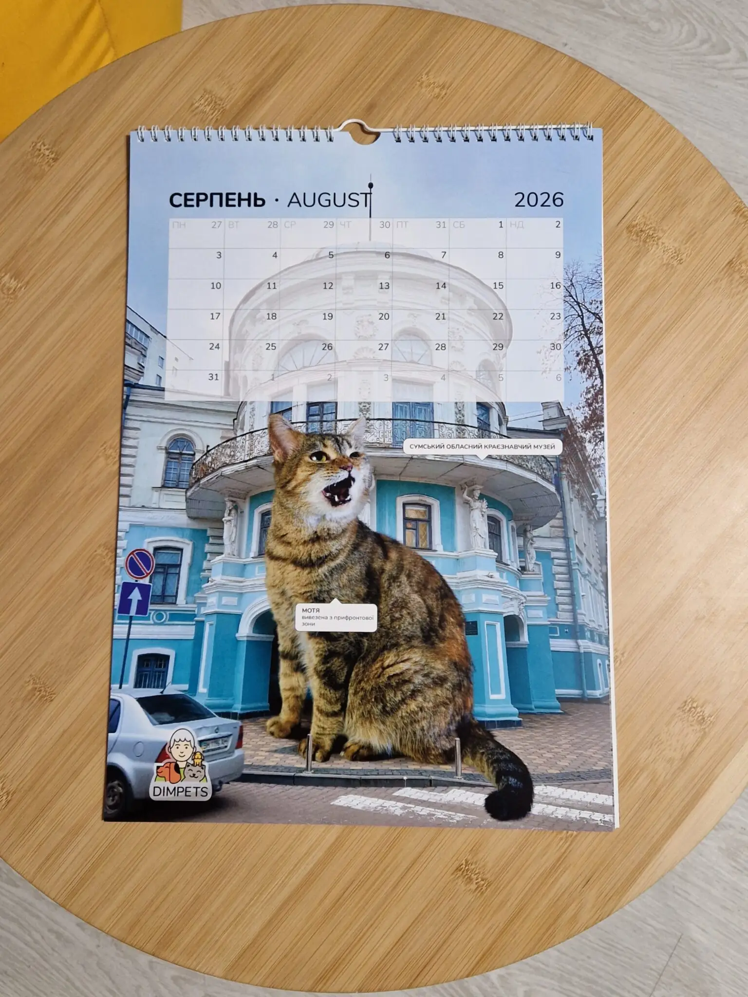 kalendar z sumsʹkymy kotamy