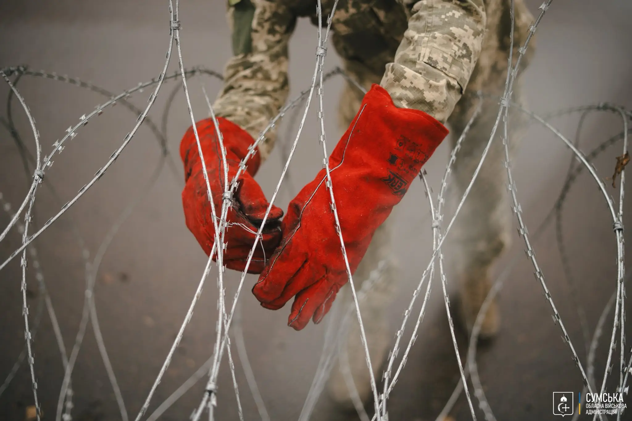 kolycha provolka sumy