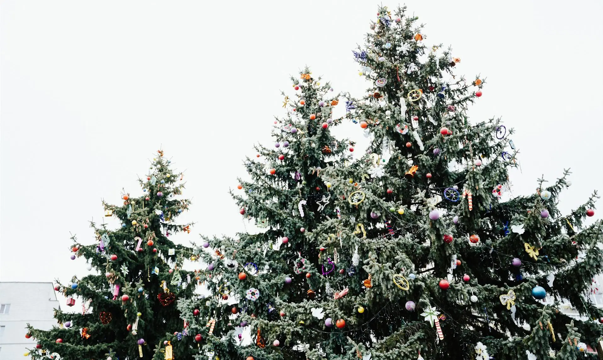 Новорічна ялинка в Сумах