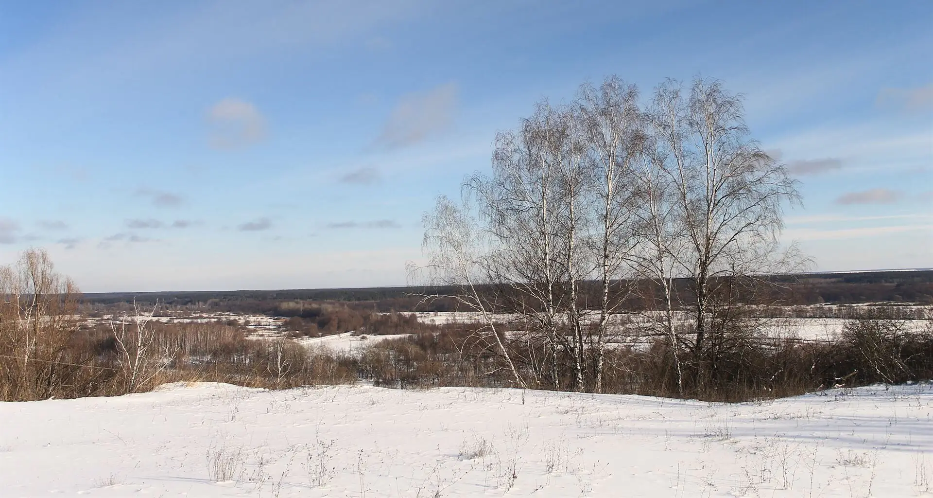 Полонина в Пристайловому