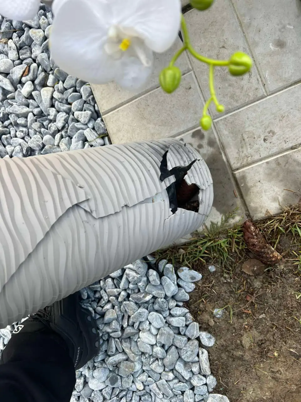 poshkodzhennya pamyatnykiv viyskovikh покшодження вази на могилі військового на баранівському кладовищі в Сумах